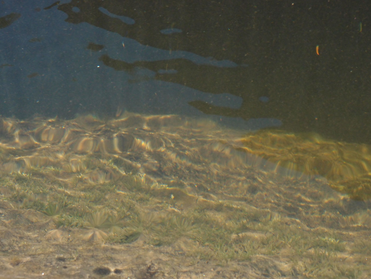 2016-02-10 am Fluss (Foto, Video)